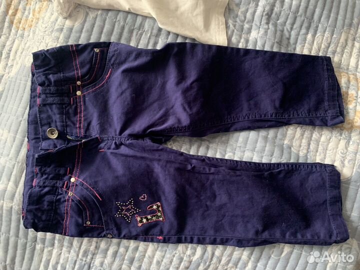 Бриджи pelican