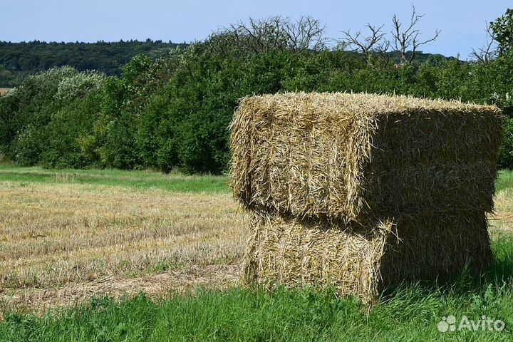 Сено,солома в тюках