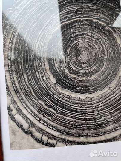 Рамки для фото