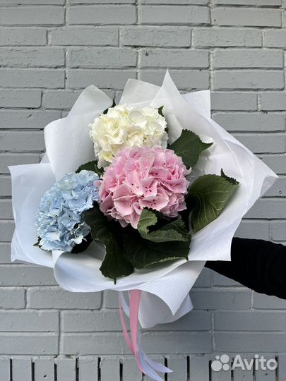 Гортензии букет гортензий цветы доставка