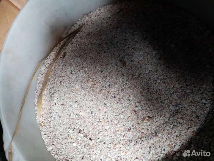 Азовская ракушка