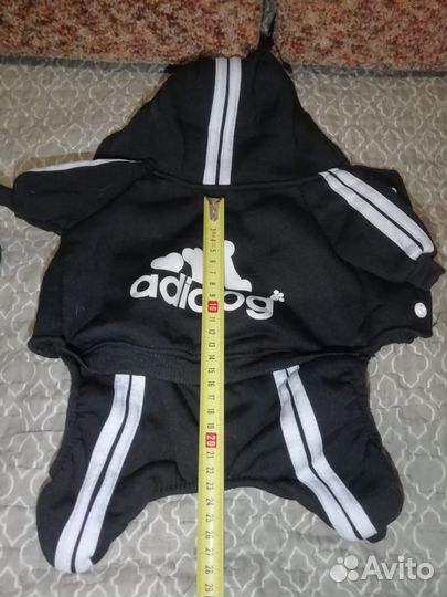 Одежда для маленьких собак