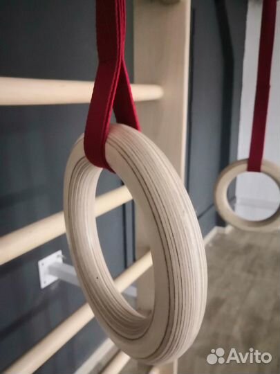 Кольца гимнастические workout