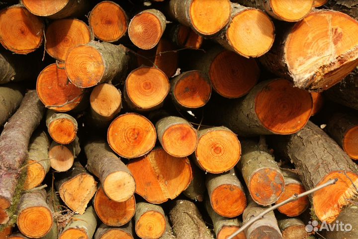 Дрова с доставкой