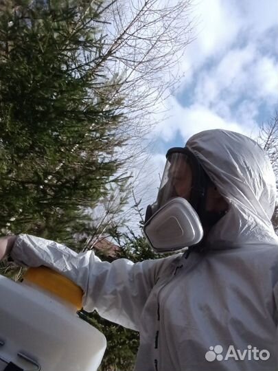 Дезинсекция,травля,уничтожение насекомых. Клининг