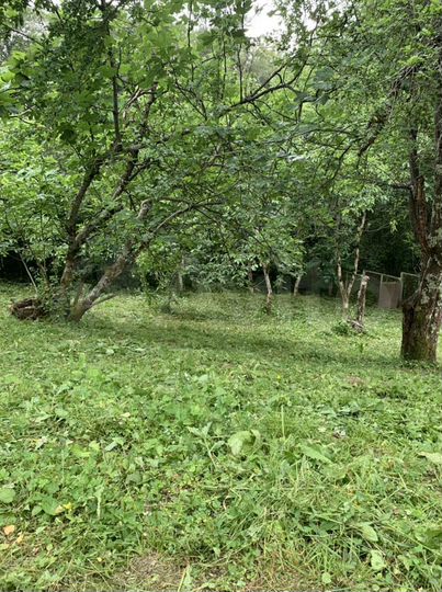 Участок 5,9 сот. (СНТ, ДНП)