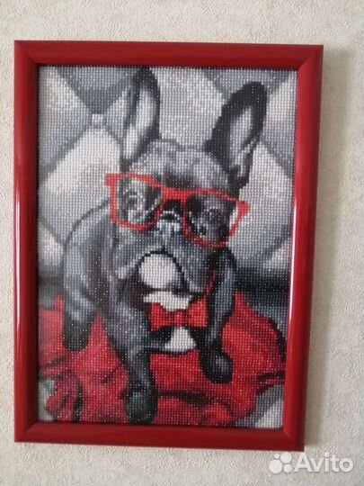 Французский бульдог