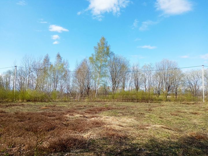 Участок 15 сот. (ИЖС)