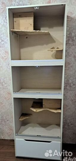 Шиншилла белая