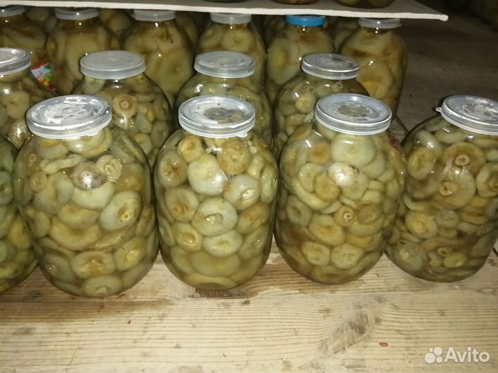 Грибы грузди соленые маринованные