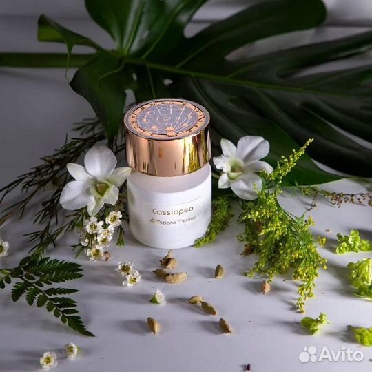 Tiziana Terenzi cassiopea