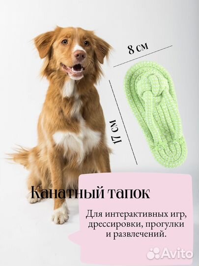 Подарок для собаки. набор игрушек для собак