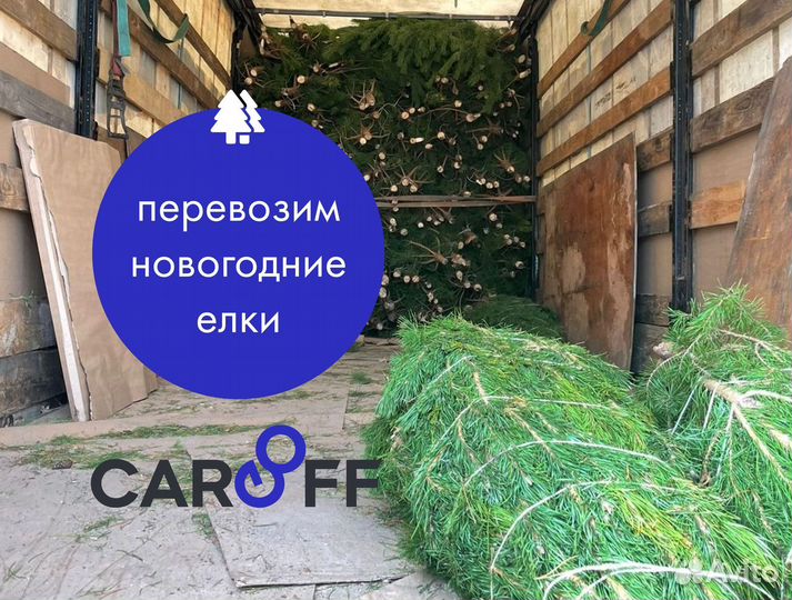 Перевозка новогодних елок. Тент фура 10-20 тонн