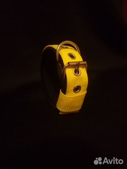 Ошейник для собак