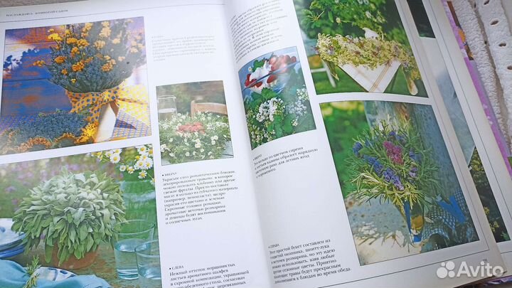 Книга Дизайн вашего сада автор Тесса Ивелей