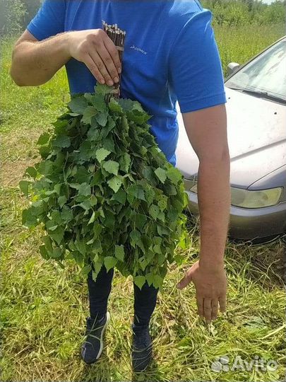 Березовые веники для бани