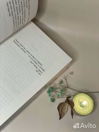 Рапсодия ветреного острова