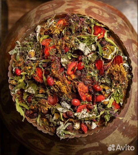 Дикий шиповник Чай, отпом и в розницу