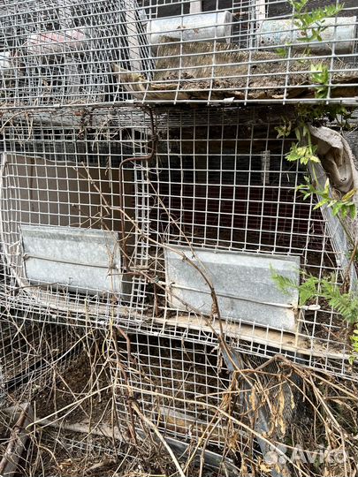 Клетка для животных
