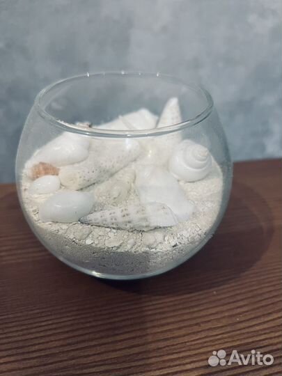 Ракушки с острова Мальдив