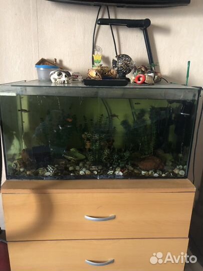 Аквариум