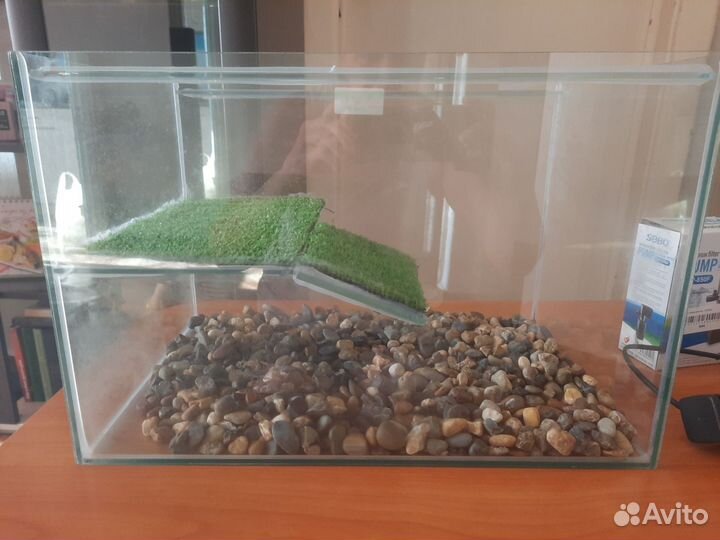 Аквариум для черепах