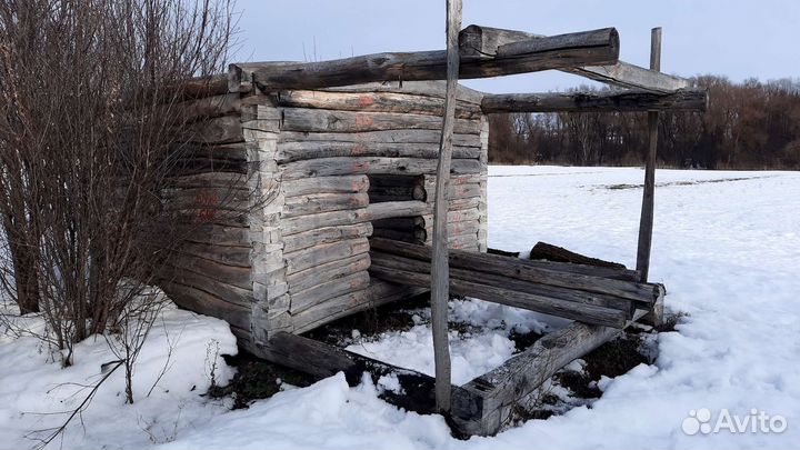 Дрова cpуб 2021 года рубки