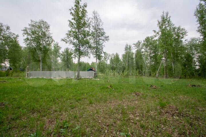 Участок 8,4 сот. (СНТ, ДНП)