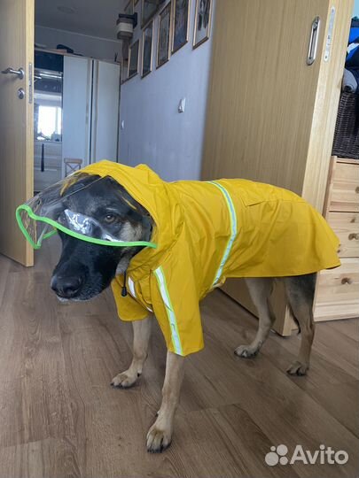 Дождевик комбинезон для собаки