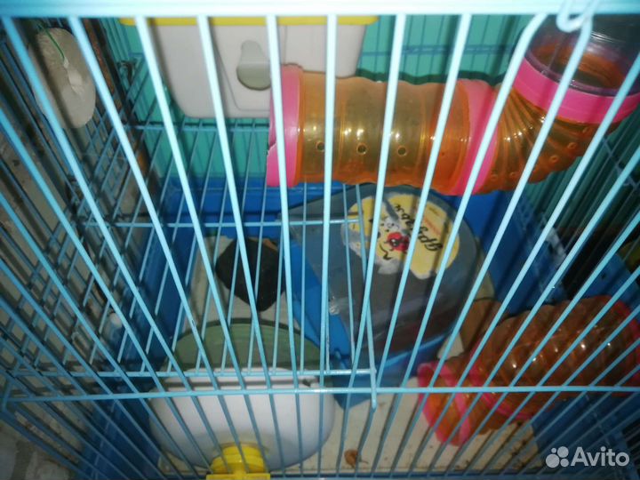 Клетка для грызунов