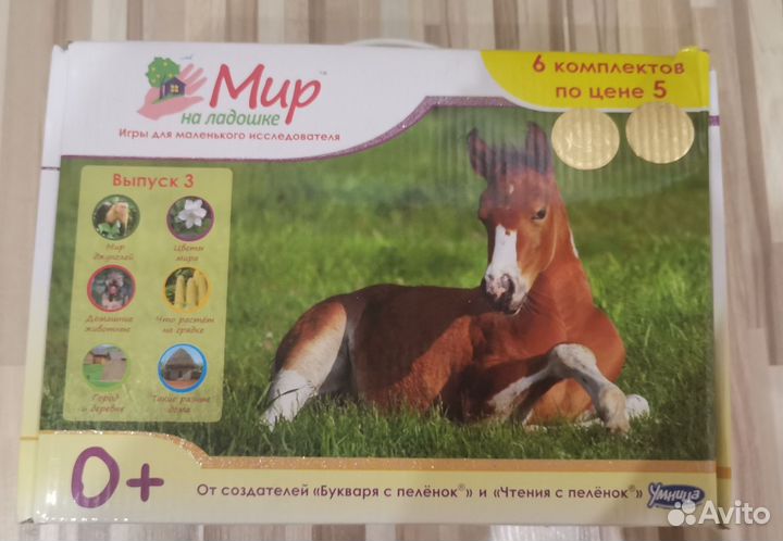 Развивашки для малышей