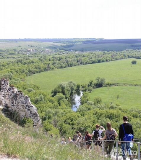 «Молочная ферма эконива»+«Тайны дивногорских пещер