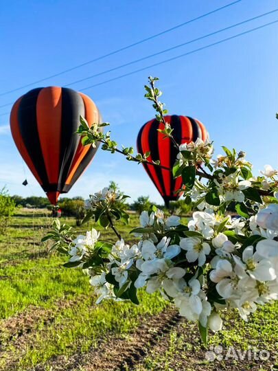 Полёт на Воздушном Шаре В Волгограде