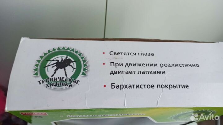 Игрушка чёрная вдова паук. На радиоуправлении