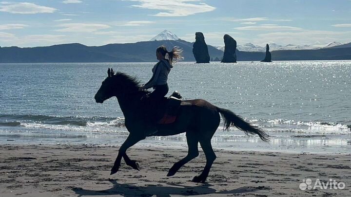 Камчатка. Конные прогулки