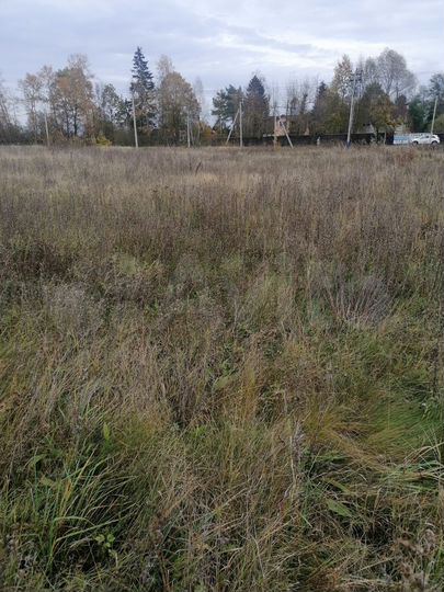 Участок 13 сот. (ИЖС)