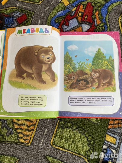 Новые книги Годовой курс занятий