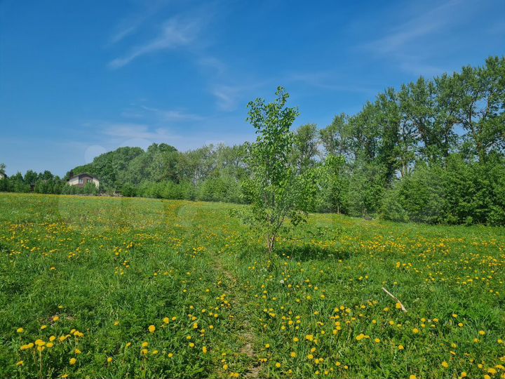 Участок 1,25 га (ИЖС)