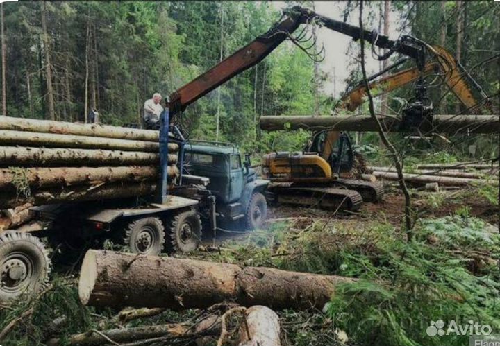 Зачистка участка