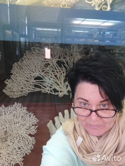 Няня-репетитор