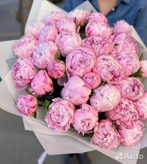 Пионы Цветы Доставка