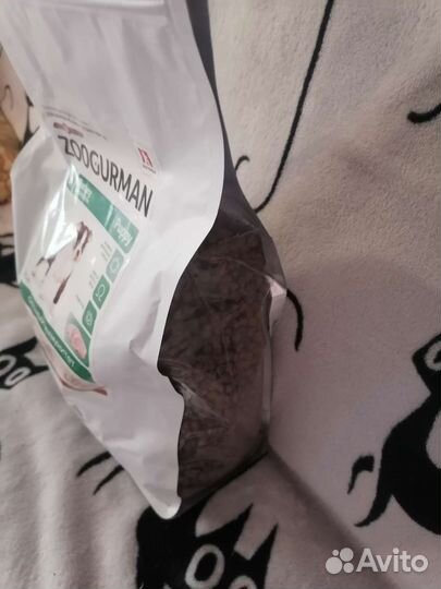 Корм для собак