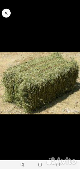 Сено с доставкой