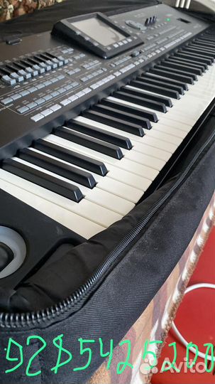 Синтезатор korg pa3xpro