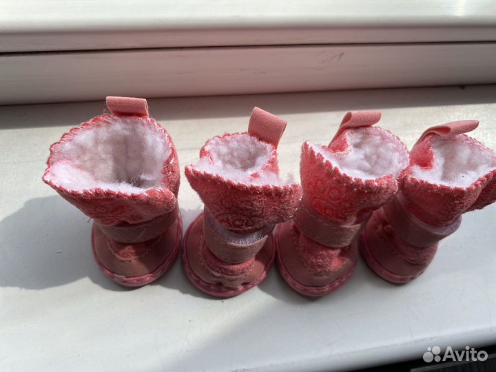 Обувь для маленьких собак