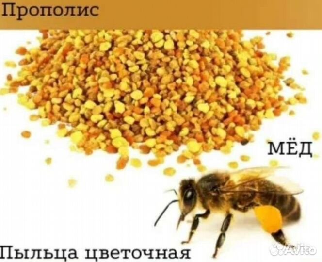 Пыльца цветочная/обножка пчелиная. Сбор 2023г