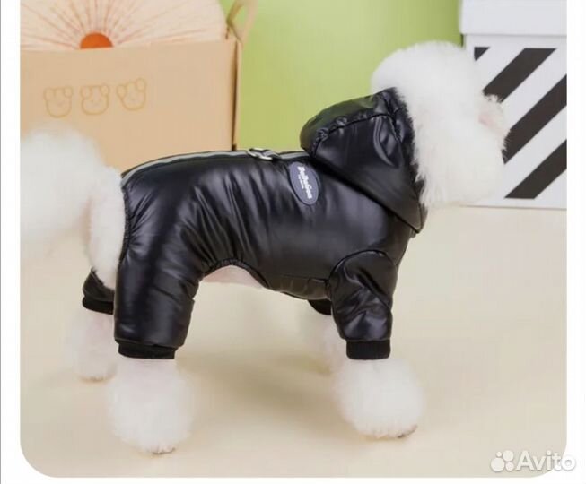 Зимний комбинезон для маленькой собаки