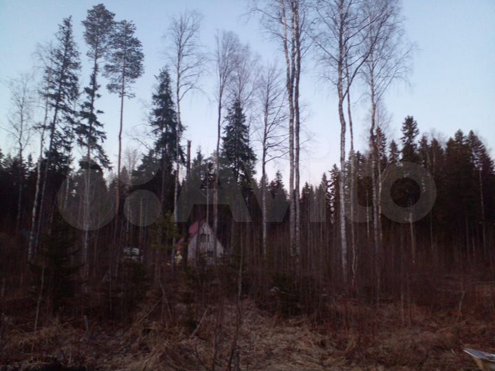 Участок 15,2 сот. (СНТ, ДНП)