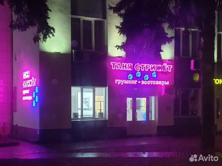 Груминг. Стрижка и вычесывание собак