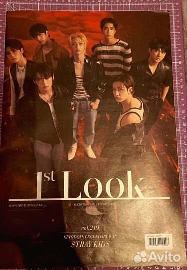 Stray kids журнал